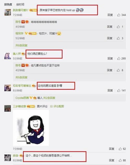 网友爆料李小璐图片视频,网友曝料图片视频引发热议