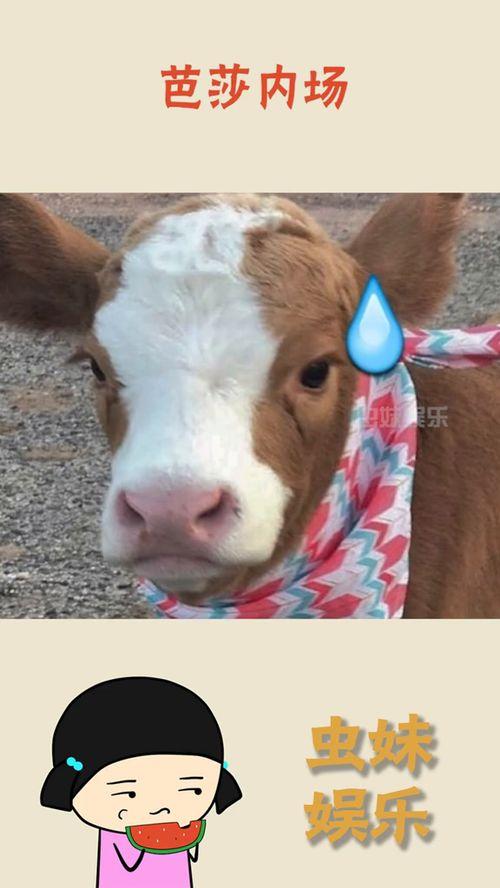 娱乐吃瓜酱模糊,揭秘娱乐圈那些不为人知的幕后故事 第3张 娱乐吃瓜酱模糊,揭秘娱乐圈那些不为人知的幕后故事 第3张