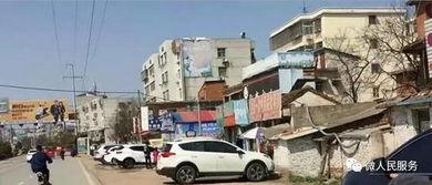 驻马店最新爆料事件,神秘事件引发社会关注