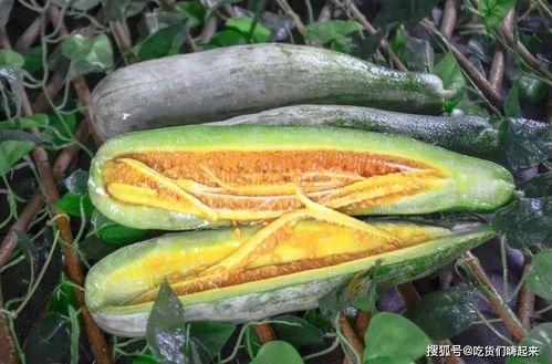 成县的吃瓜网红有哪些,瓜田里的“吃瓜”达人盘点 第2张 成县的吃瓜网红有哪些,瓜田里的“吃瓜”达人盘点 第2张